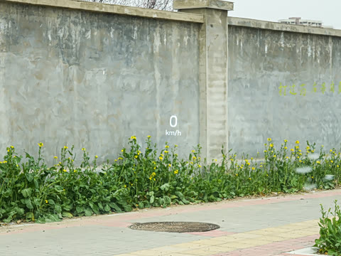 2025 BYD TANG L Image 15